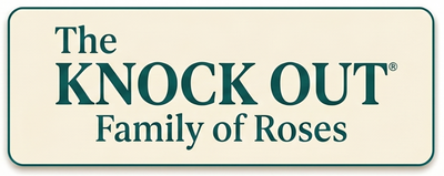 The Knock Out Family of Roses